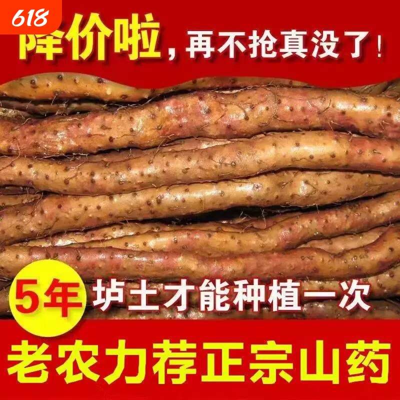 正宗非河南焦作怀山药山药豆新鲜垆土铁棍山药豆糖葫芦专用特大号
