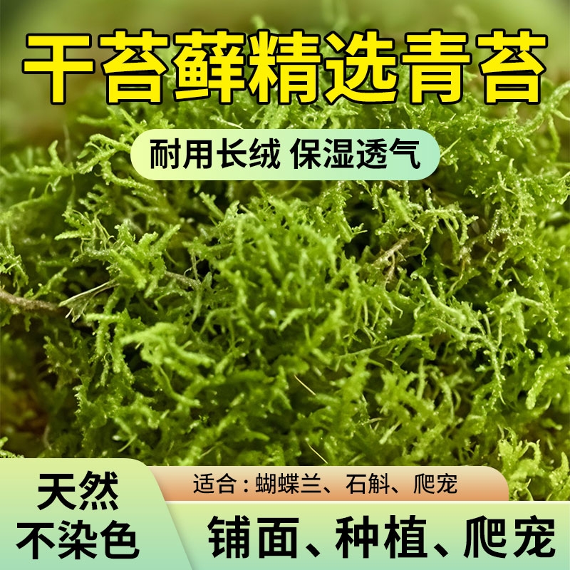 蝴蝶兰专用土水苔营养土种植石斛兰花植料干苔藓青苔干乌龟垫材
