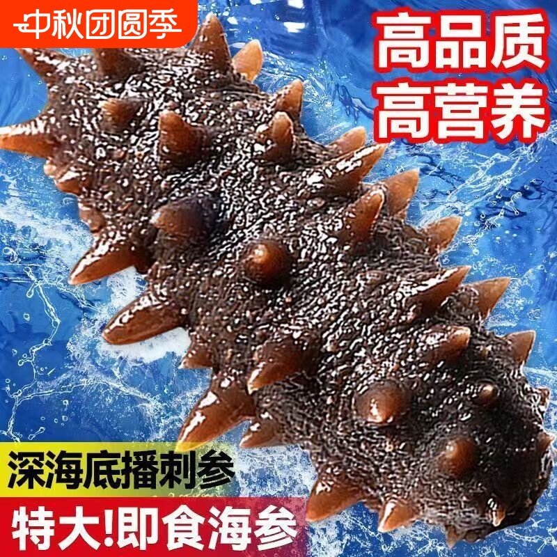 海参即食大连辽参礼盒鲜活开袋独立包装刺参非淡干正品官方旗舰店图片