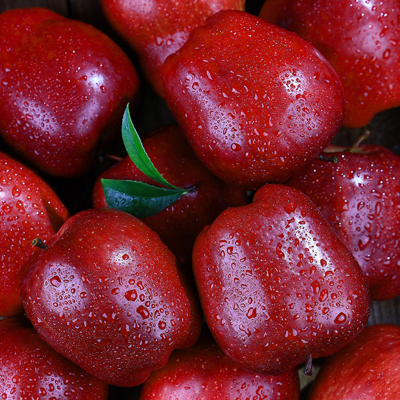自然搭档甘肃天水花牛苹果脆面两吃新鲜水果,水产肉类/新鲜蔬果/熟食,苹果,淘宝优惠券,粉丝福利购,淘宝优惠卷
