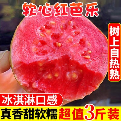 【红心特级】芭乐水果新鲜包邮