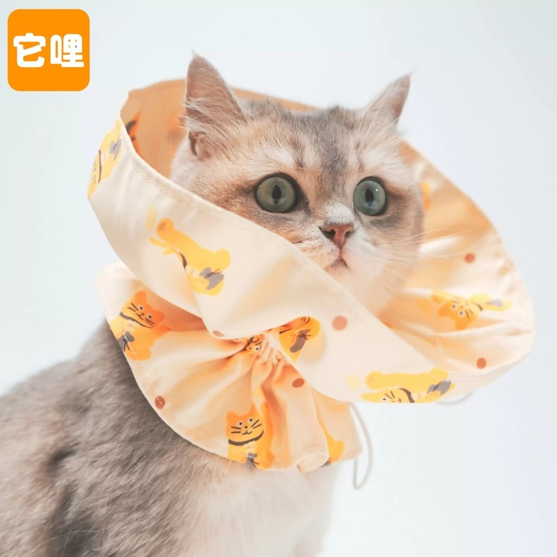它哩TALI猫狗宠物伊丽莎白圈可爱橘原创招财猫可调节式防抓挠皮肤