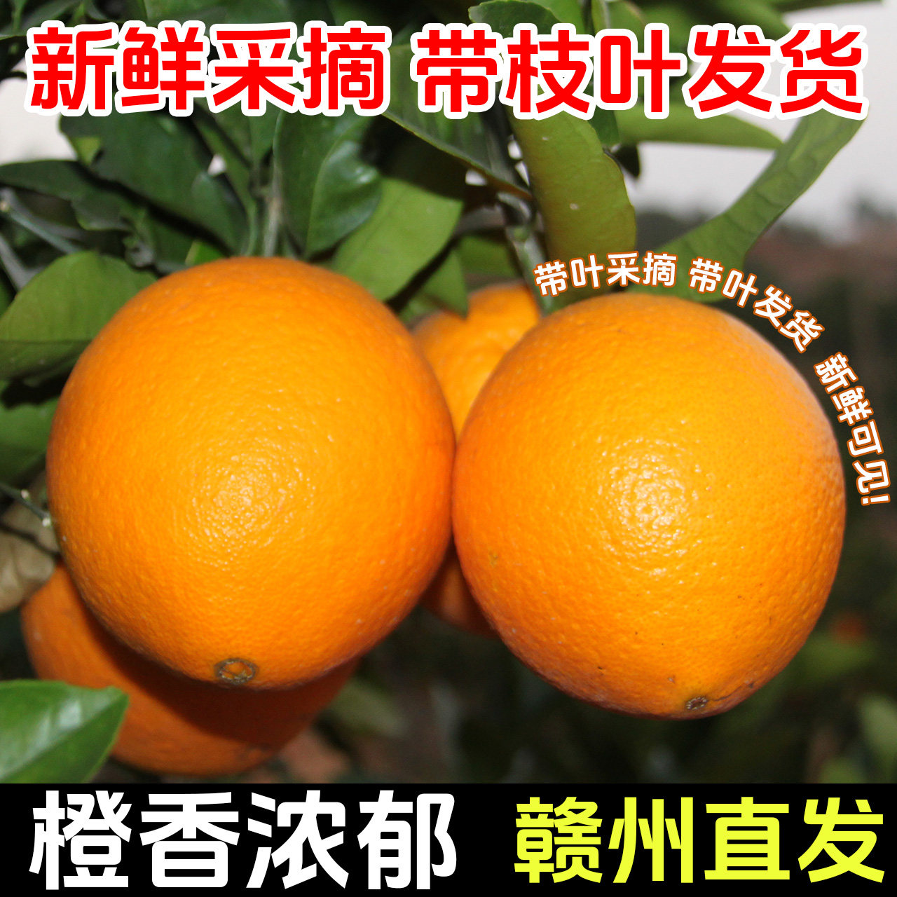 【带叶鲜果】赣南脐橙10斤装 榨汁爆汁新鲜水果现摘整箱江西甜橙,水产肉类/新鲜蔬果/熟食,橙,淘宝优惠券,粉丝福利购,淘宝优惠卷