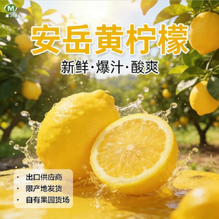 檬小夏四川安岳黄柠檬新鲜水果奶茶店皮薄多汁自有货场产地直发