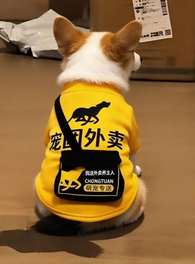 狗狗衣服春夏季搞笑可爱柯基比熊泰迪猫咪小型犬宠物外送服装黑色