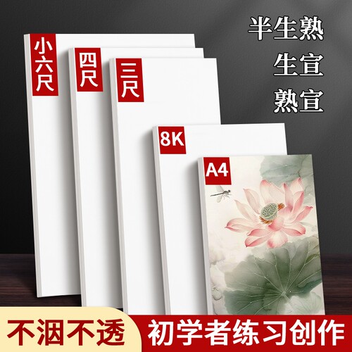 半生半熟宣纸书法国画练习专用