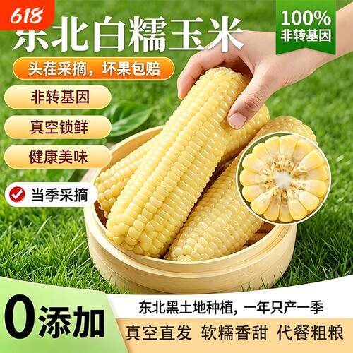 东北白糯玉米甜糯玉米真空装加热即食新鲜玉米棒头插玉米粗粮香甜