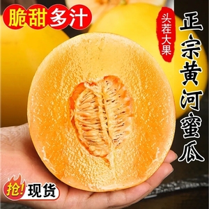 黄河蜜甜瓜8.5斤新鲜现摘当季水果黄金瓜黄心甜瓜香瓜整箱民勤