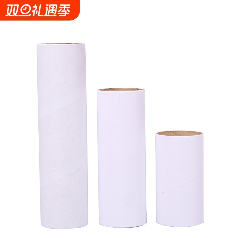 幼儿园创意手工DIY制作纸筒白胚纸芯筒卷纸卫生纸筒绘画涂鸦材料