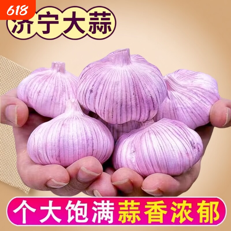 首单特大大蒜头批发干蒜紫皮直降新鲜大蒜包邮糖醋种植自种优质