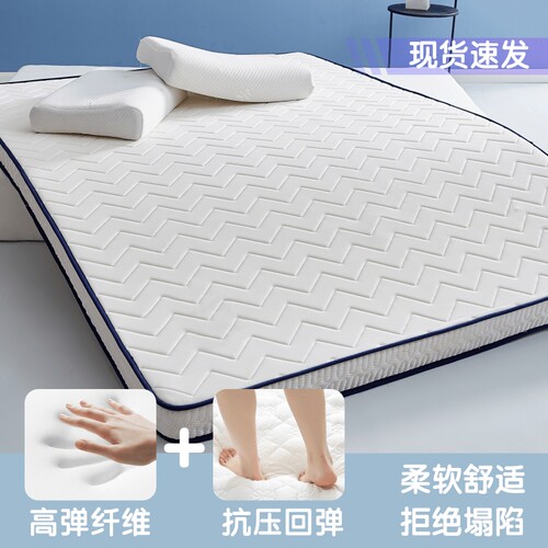 四季款床垫家用软垫褥铺地