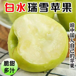 2025陕西正宗白水瑞雪苹果现摘现发纯甜无酸现摘先发应季时令鲜果