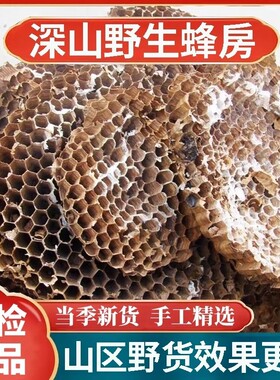 天然纯野生正品野蜂窝马蜂窝露蜂房黄蜂窝山蜂房老蜂巢中药材蜜蜂