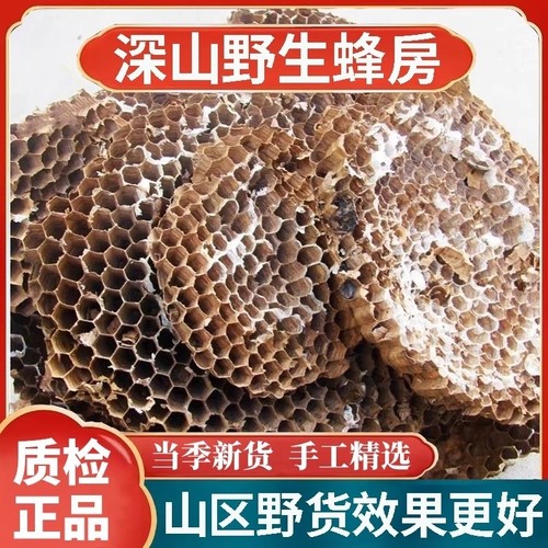 天然纯野生正品野蜂窝马蜂窝露蜂房黄蜂窝山蜂房老蜂巢中药材蜜蜂