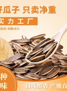 五香味瓜子打手黑皮瓜子好味食客大颗粒新货葵花籽炒货休闲好零食