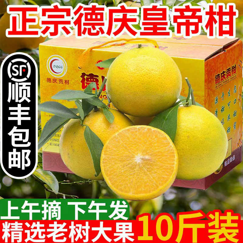 正宗德庆贡柑皇帝柑当季新鲜沃橘丑桔子爱媛水果整箱5/10斤装现摘,水产肉类/新鲜蔬果/熟食,桔子,淘宝优惠券,粉丝福利购,淘宝优惠卷