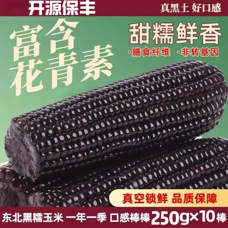 香甜东北黑糯玉米新鲜真空装加热即食甜糯粘玉米黏苞米早餐代餐