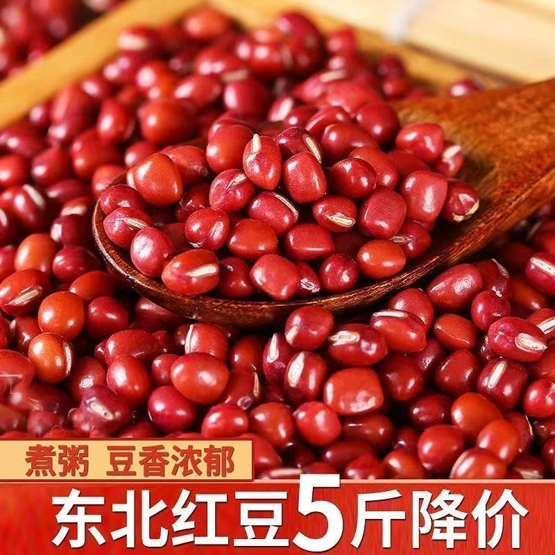 新货东北红小豆农家天然红豆非赤小豆五谷杂粮豆子沙粗粮批发价