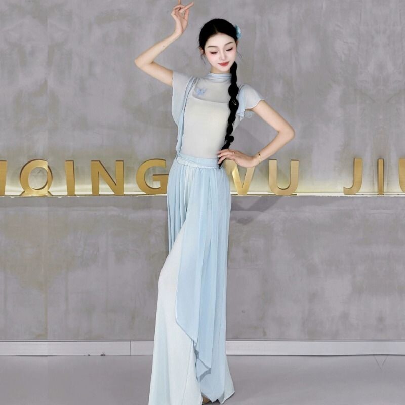 古典现代舞蹈服上衣演出练功服装图片