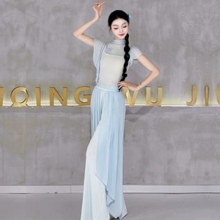 古典舞成人款女修身高领飘逸纱衣蝴蝶现代舞蹈服上衣演出练功服装