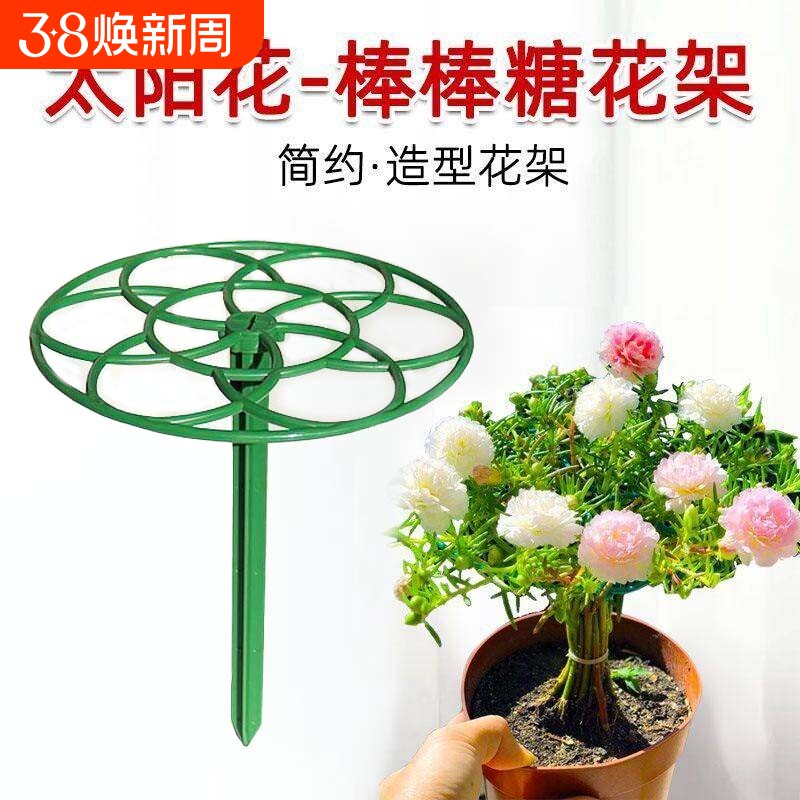 太阳花棒棒糖造型支架叶仙人掌蟹爪兰嫁接用单层多层支撑固定花架