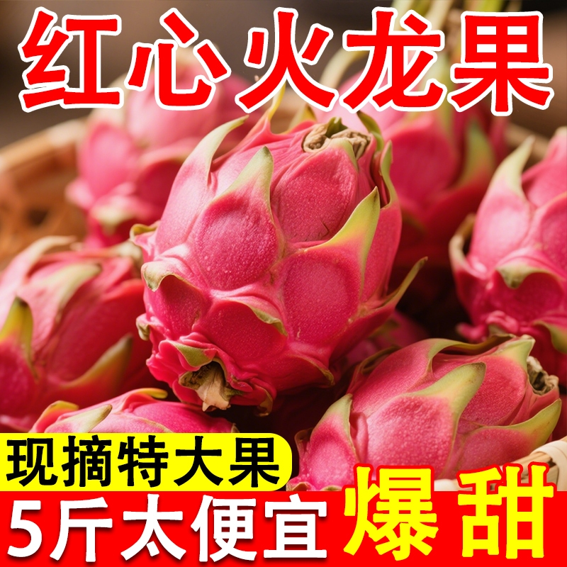 新鲜金都一号火龙果皮薄多汁
