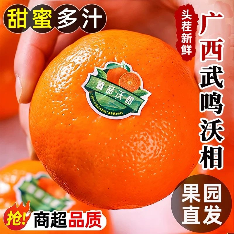 正宗新鲜现摘沃柑新鲜水果当季整箱大果桔子砂糖沙蜜橘柑橘子新鲜,水产肉类/新鲜蔬果/熟食,桔子,淘宝优惠券,粉丝福利购,淘宝优惠卷