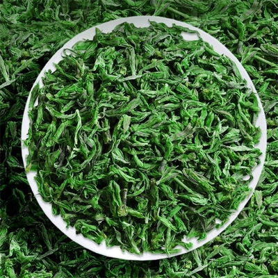 精选野生新茶2025小叶苦丁茶叶头采明前纯芽头峨眉山苦丁茶食用