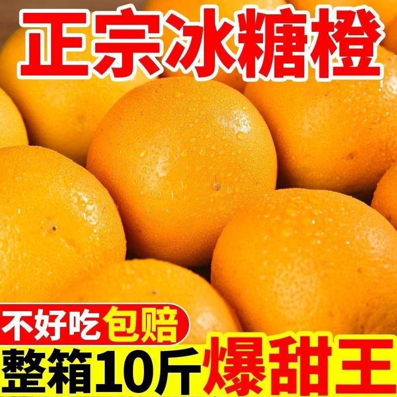 正宗麻阳冰糖橙橙子9斤当季新鲜应季水果小甜脐橙整箱皮薄甜蜜