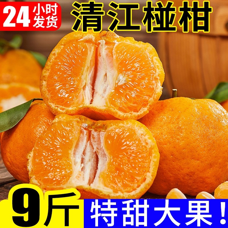 正宗清江椪柑新鲜10斤橘子芦柑时令碰柑应季水果新鲜当季整箱柑橘