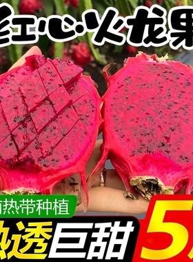 产地直发】火龙果红心新鲜现摘红肉蜜宝大果当季水果3斤/5斤批发