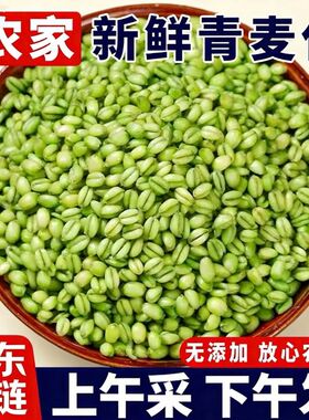 青麦仁2026新鲜青麦粒米去皮煮粥即食河南正宗青小麦胚芽鲜粥杂粮