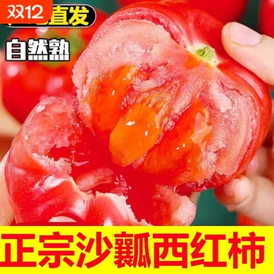 正宗农家自然熟沙瓤番西红柿