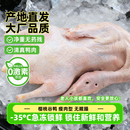 樱桃谷鸭新鲜宰杀冷冻农家散养