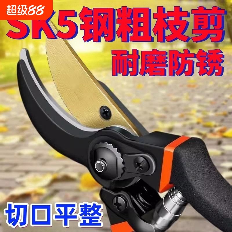 剪树枝剪刀专用花剪园艺园林修枝园丁剪嫁接强力采摘省力修水果树
