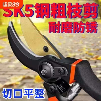 剪树枝剪刀专用花剪园艺园林修枝园丁剪嫁接强力采摘省力修水果树
