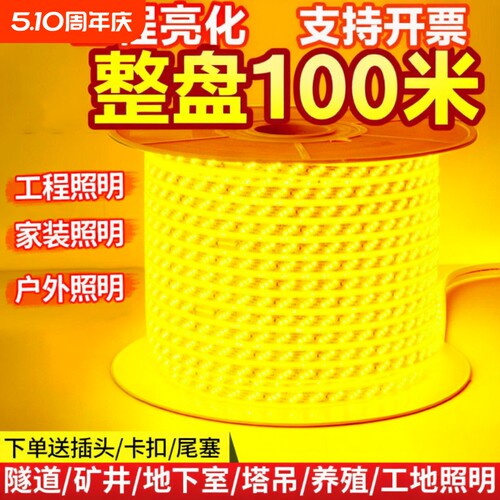 整卷100米超亮LED灯带家装户外工程亮化吊顶户外防雨暖光白光装饰