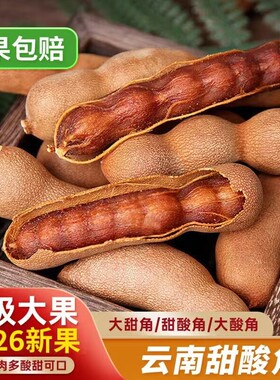 酸角云南特产新鲜大甜角