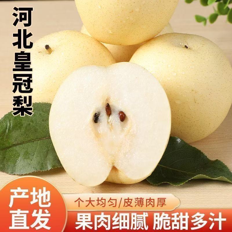 河北白皇冠梨子应季新鲜当季水果整箱脆甜孕妇现摘原产地解腻化渣图片