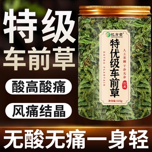 车前草野生干货官方旗舰店酸尿降袋泡茶中药材泡水喝 功效与作用