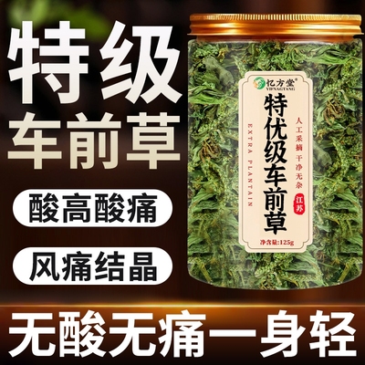 车前草野生干货官方旗舰店酸尿降袋泡茶中药材泡水喝的功效与作用