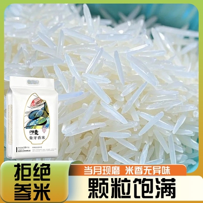 正宗象牙米长粒香米南方优质大米