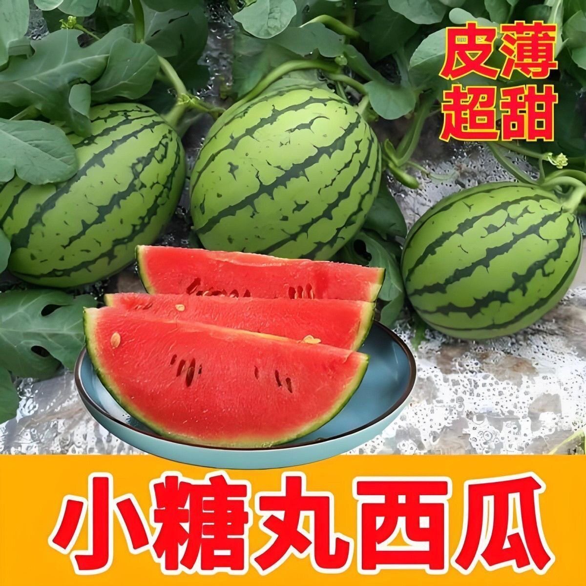 甘肃沙漠小糖丸薄皮小西瓜西瓜2k脆甜多汁手剥当季新鲜水果礼盒