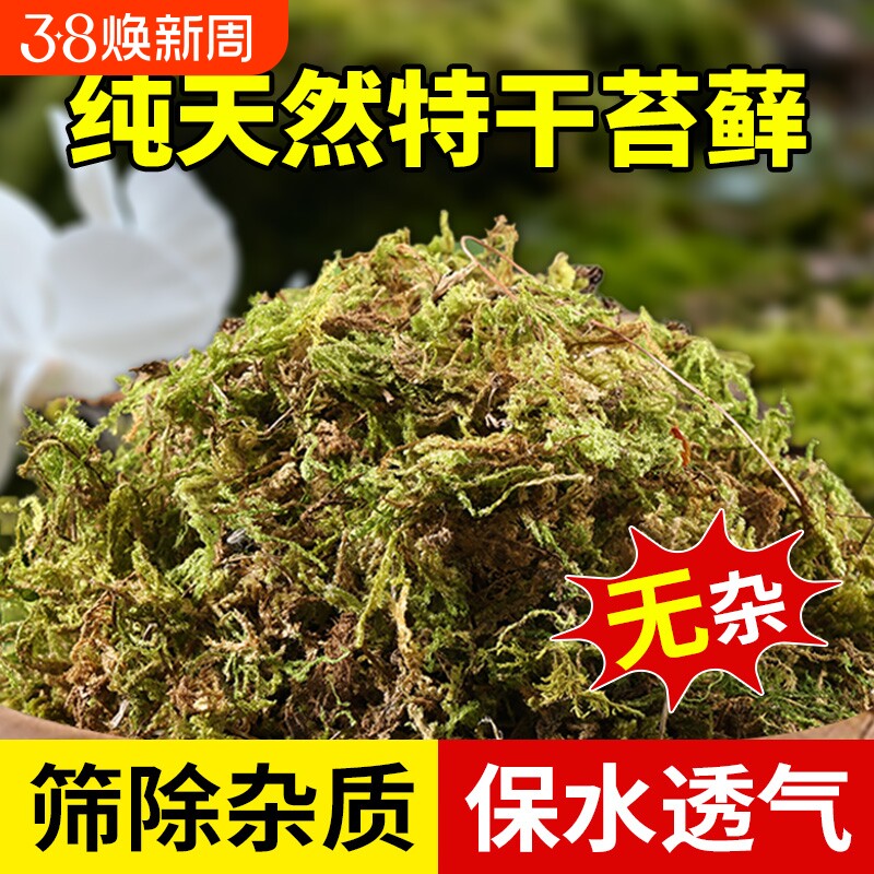 新鲜干水苔藓天然青苔兰花蝴蝶兰石斛种植专用营养土爬宠乌龟垫材
