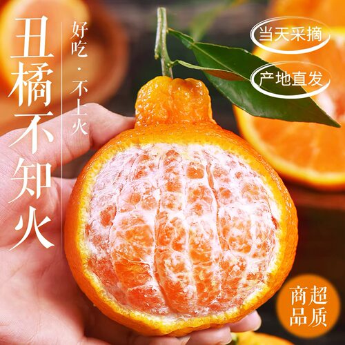 四川不知火丑橘9斤果王当季水果新鲜整箱大果爆甜柑橘果园直发
