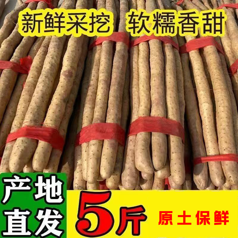 新鲜铁棍山药小白嘴山药铁杆淮山药新鲜山药轻微带土粉糯香甜直发