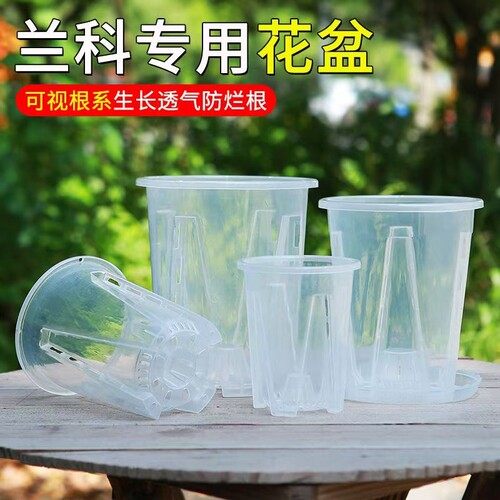 蝴蝶兰专用花盆水苔透明