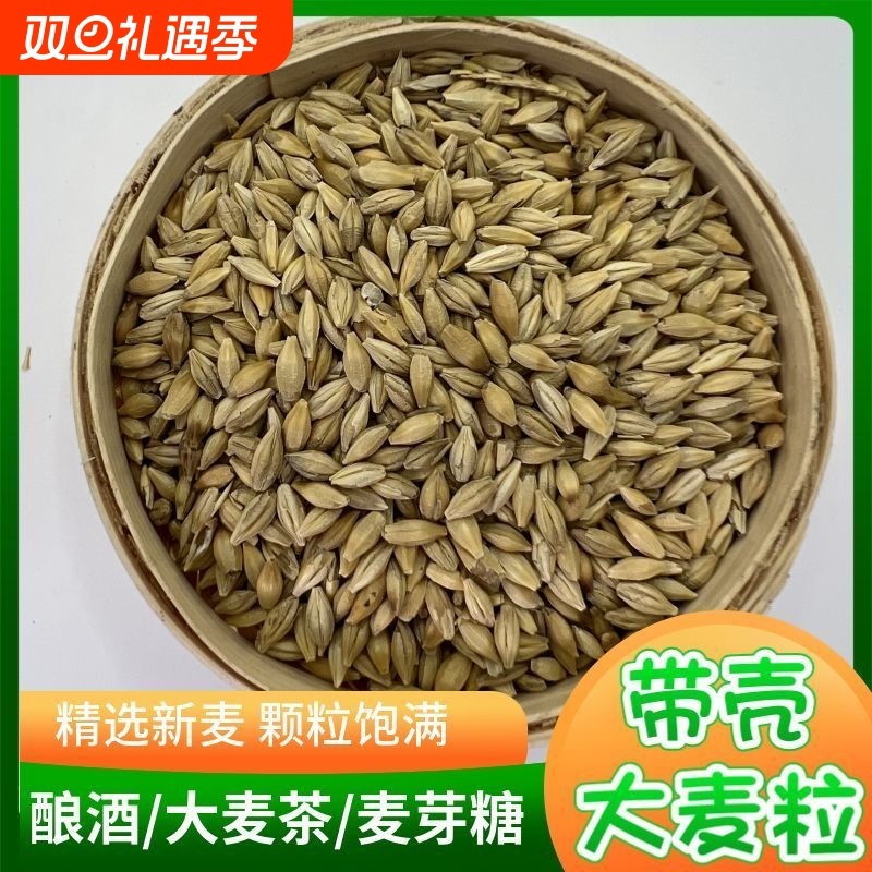 优质带壳大麦粒大麦茶原料发芽麦芽糖酿酒酿醋鸽粮家禽饲料
