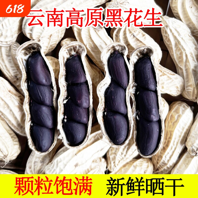 富硒黑花生带壳2025云南普洱特产晒干生熟花生米新货黑皮花生米