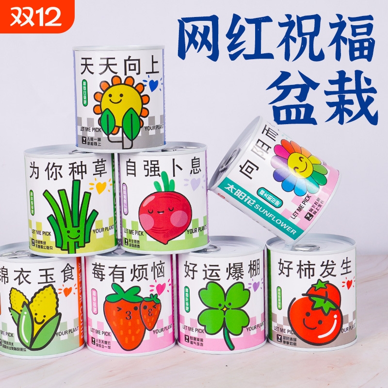 创意儿童种植小盆栽|488人收藏